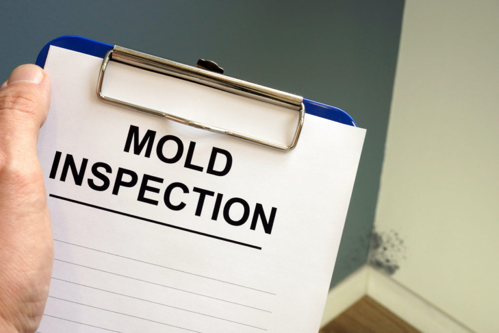 Mold Inspection Form