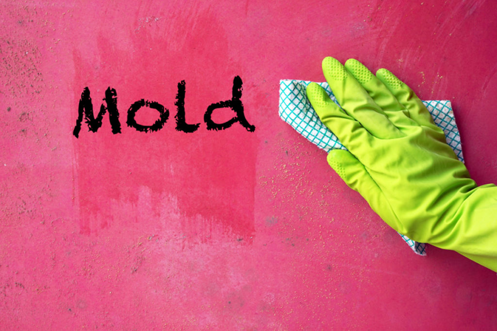 Mold prevention