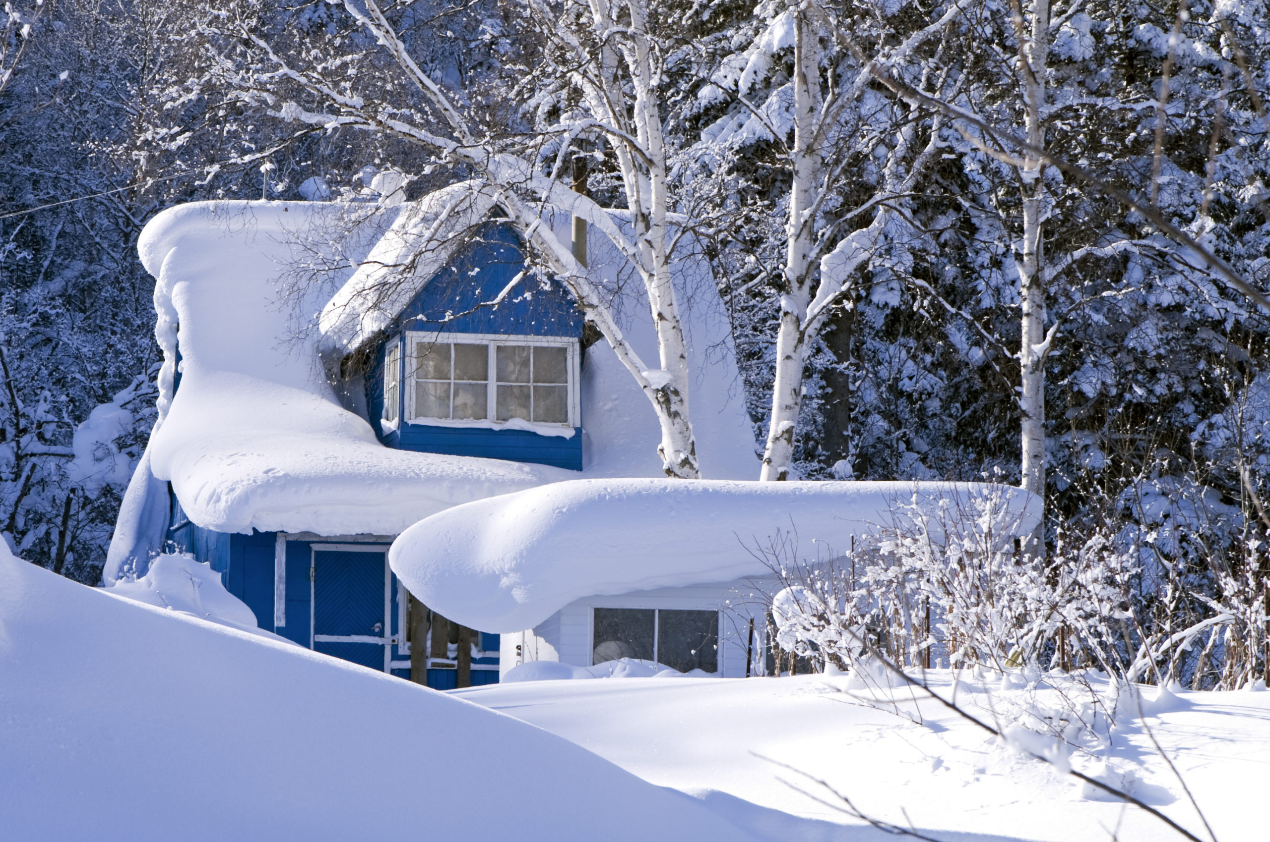Снегом укрыты дома